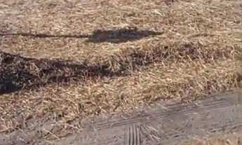 Imagem 4: Oportunidade Lote 12x30 Trevo do Francês!!!