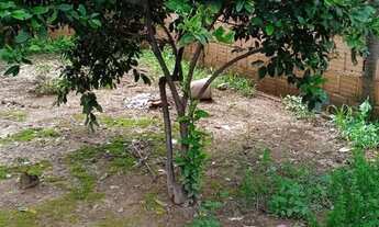 Imagem 7: Venda-se casa no jardim brasilia sul