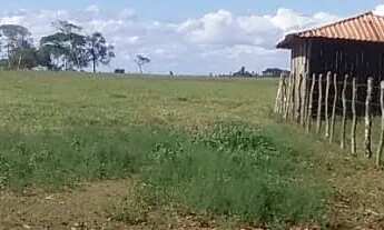 Imagem 6: Sítio à venda em Entre Rios-BA, bairro Entre Rios, 1 quarto, 103.000 m² de área! Venha con