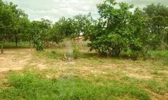 Imagem 2: Lote de chácara