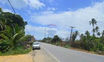 Imagem 2: Sua Oportunidade de Investimento em Maragogi!