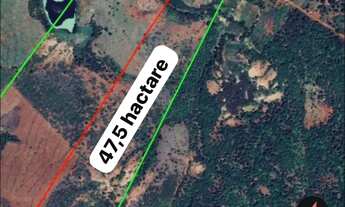 Imagem 3: VENDE-SE 49,6 HACTARE PARA PLANTIO DE CAFÉ OU CRIAÇÃO DE GADO