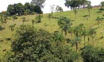 Imagem: Fazenda à Venda em Bom Jardim de Goiás