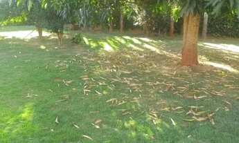 Imagem 5: Chácara para Venda em Setor Central Nova Veneza-GO