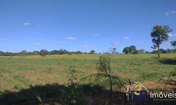 Imagem 3: Chácara com 6 alqueres, rica em água no muninicipio de piracanjuba