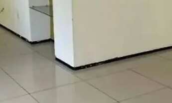 Imagem 7: Alugo casa ampla para finalidade comercial!