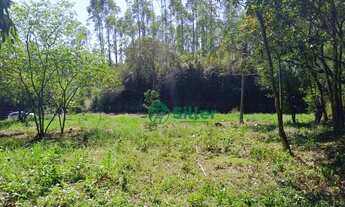 Imagem 5: Terreno à venda, 525 m² por R$ 49.000,00 - Morungava - Gravataí/RS