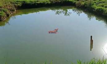 Imagem 3: Chácara para Venda na zona rural de Coimbra MG