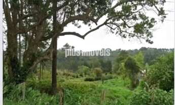 Imagem 3: EMBU-GUAÇU - CIPÓ DO MEIO - TERRENO COM 54.330.12M²