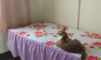 Imagem 3: Apartamento a venda