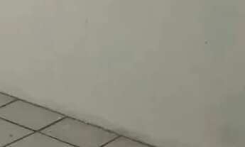 Imagem 7: Ótima Casa duplex, na melhor localização do Janga, peeto de tudo e da Praia