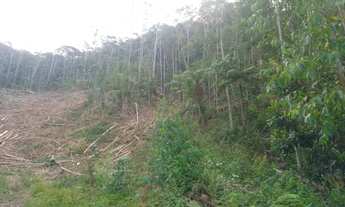 Imagem 6: Sítio marechal floriano 17 henquitares