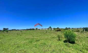 Imagem 5: Lote em Campo do meio - Campo do Meio - São Francisco de Paula/RS