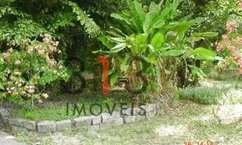 Imagem 4: Excelente Terreno 4000 m2 bem localizado frente murada com pequena casa frente para a estr