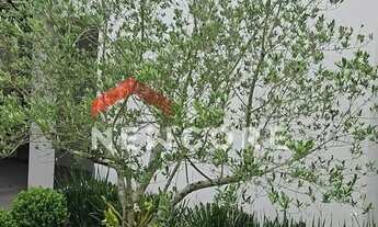 Imagem 5: Casa de condomínio em Rodovia Tapir Rocha, 6614 - São Lucas - Viamão/RS