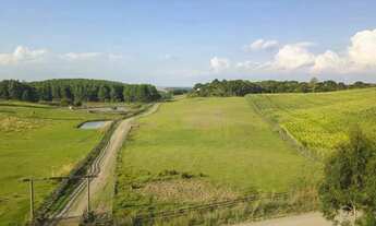 Imagem 3: Lote em RS 235 - Saiqui - Canela/RS