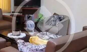 Imagem 2: Centro - 2 dormitórios codigo: 116923