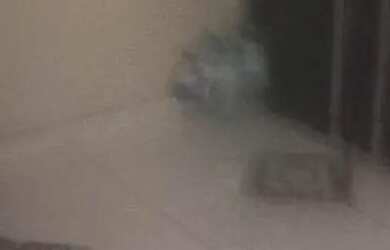 Imagem 5: CASA PARA ALUGAR R$550 REAIS