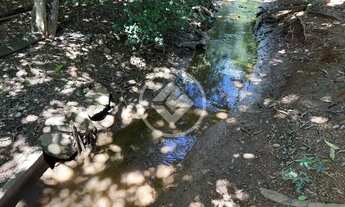 Imagem 6: Hidrolândia - Chácara no Centro codigo: 266441