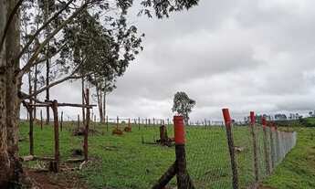 Imagem: Terreno chácara 1000m²