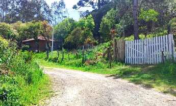 Imagem 3: Chácara em Tijucas do Sul, Paraná!