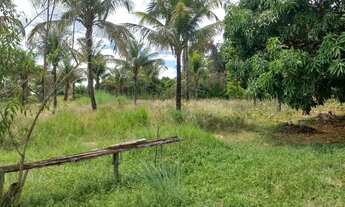 Imagem: Escritório imobiliário Paranoá vende