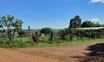 Imagem 4: Chacara à venda