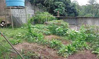 Imagem 4: Chacara com riacho precisando de dono 130mil reais