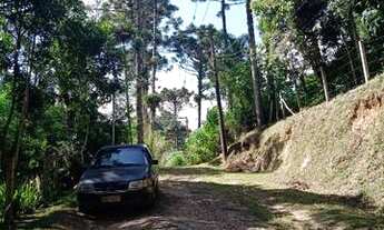 Imagem 7: Super terreno rico em água apenas 600 MTS do asfalto e ponto de ônibus