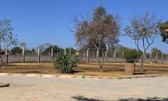 Imagem 7: Excelente Sítio em Juvenília / MG!