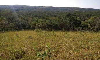 Imagem 3: Fazenda para venda com 37,5Alqueires em Cocalzinho de Goiás