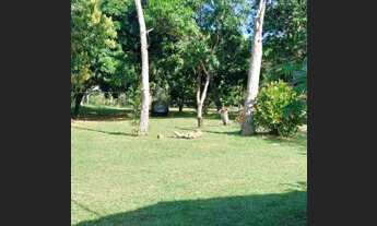 Imagem 5: Fazenda/Sítio/Chácara para venda tem