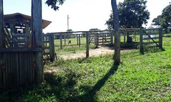 Imagem 4: Fazenda/Sítio/Chácara para venda ou troca em imóvel em Uberlândia!