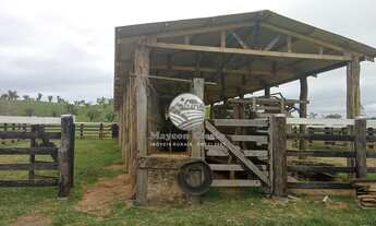 Imagem 2: Ariquemes - Sítio - 42 Alqueires