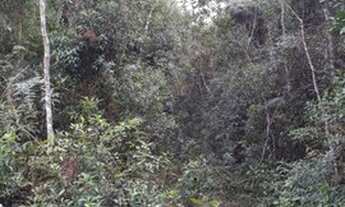 Imagem 5: Sítio 40 Hectares - Sítio 48 Hectares Arantina