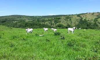 Imagem 4: Fazenda em Corumbaíba
