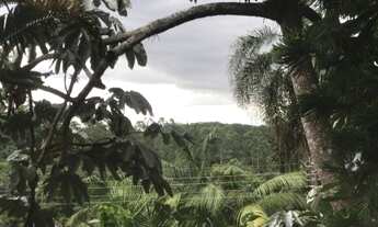 Imagem 5: Casa Térrea Aconchegante no Conceito Campos Do Jordão na Serra da Cantareira -Mairiporã