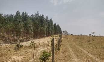 Imagem 5: FAZENDA MONTE CARMELO