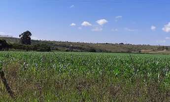 Imagem 4: Fazenda DF-310 194 Hectares !!! 10.670.000 !!!