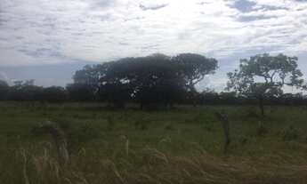 Imagem 7: Terreno no bairro Área Alfa (Santa Maria