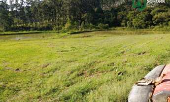 Imagem 5: Sítio com 3 dormitórios à venda, 250000 m² por R$ 1.650.000,00 - Centro - Rio do Campo/SC