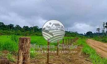 Imagem 2: Candeias do Jamari - Fazenda - 84 Alqueires Barato