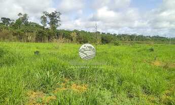 Imagem: Candeias do Jamari - Fazenda - 84 Alqueires