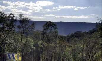 Imagem 6: Terreno Rural para Venda em Campo Largo, São João do Povinho