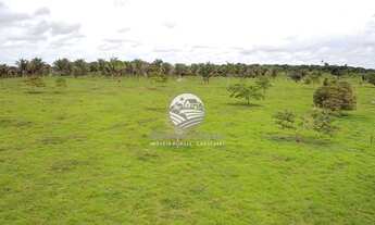 Imagem 2: Theobroma - Sítio - 10 alqueires Palmares