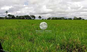 Imagem 5: Machadinho D'Oeste - Fazenda - 140 Alqueires