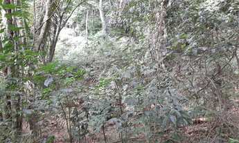 Imagem 2: Área com Casa na Costeira, Próximo a Praia da Pacuíba, em Ilhabela