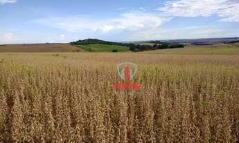 Imagem 6: Sítio à venda por R$ 6.500.000 - Rural - Andirá/PR