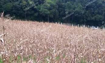 Imagem: Excelente Chácara Sem Benfeitorias