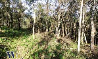 Imagem 5: Terreno Rural para Venda em Campo Largo, São João do Povinho